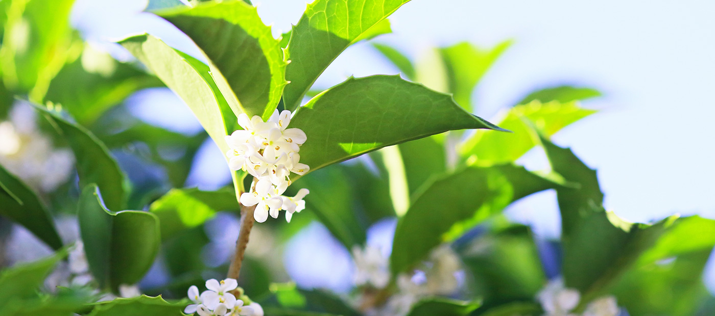 キービジュアルイメージ01